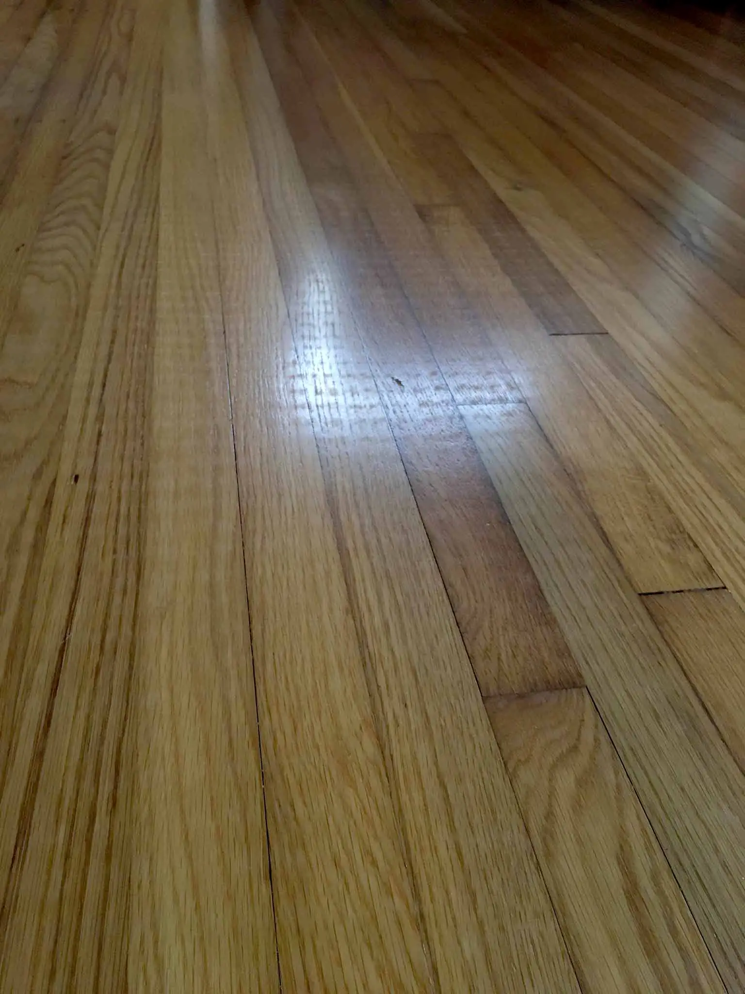 Damage to hardwood floors caused by jute rug - That Homebird Life Blog