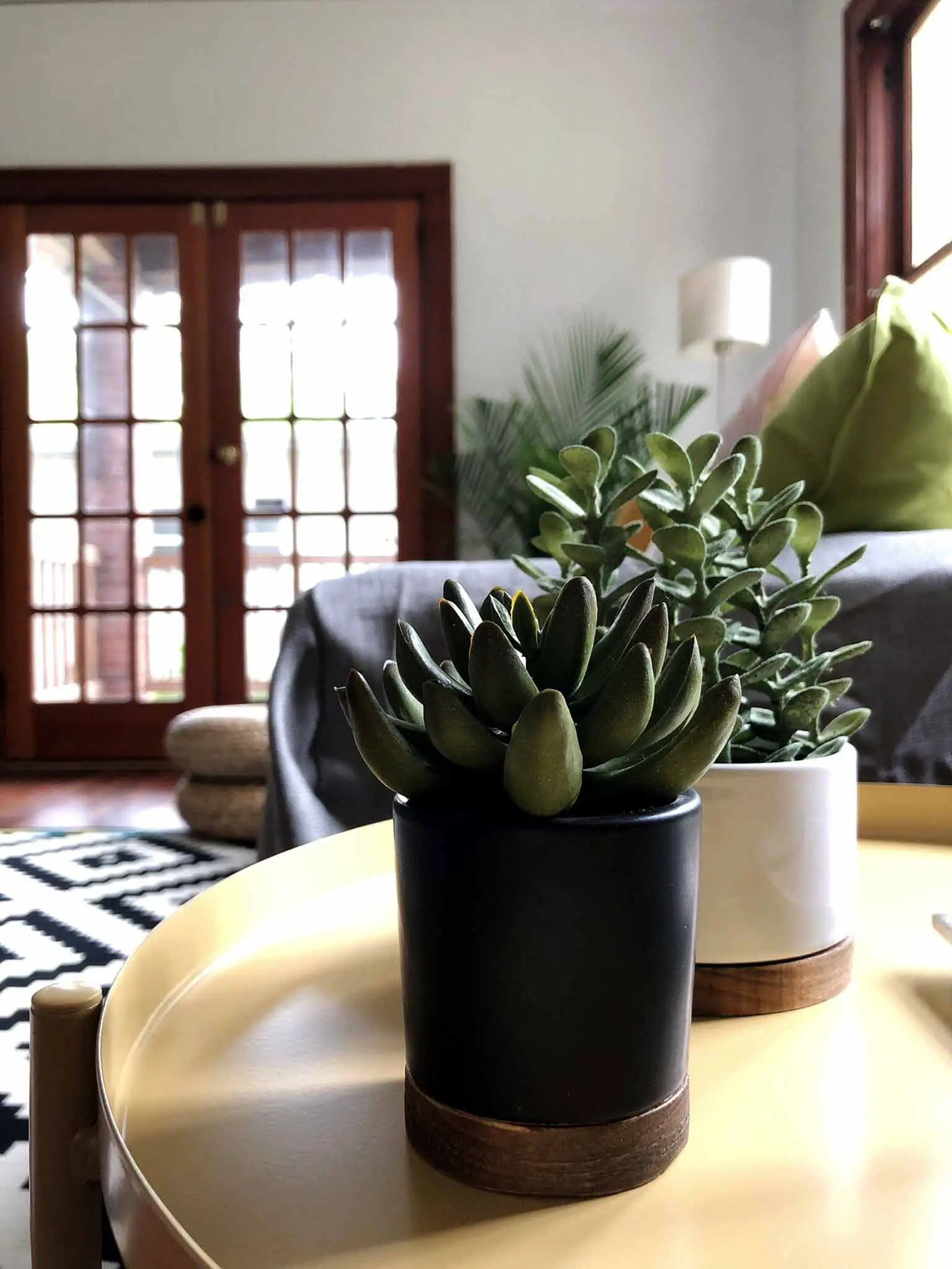 Faux succulents - Modern minimalist room makeover on a budget - That Homebird Life Blog