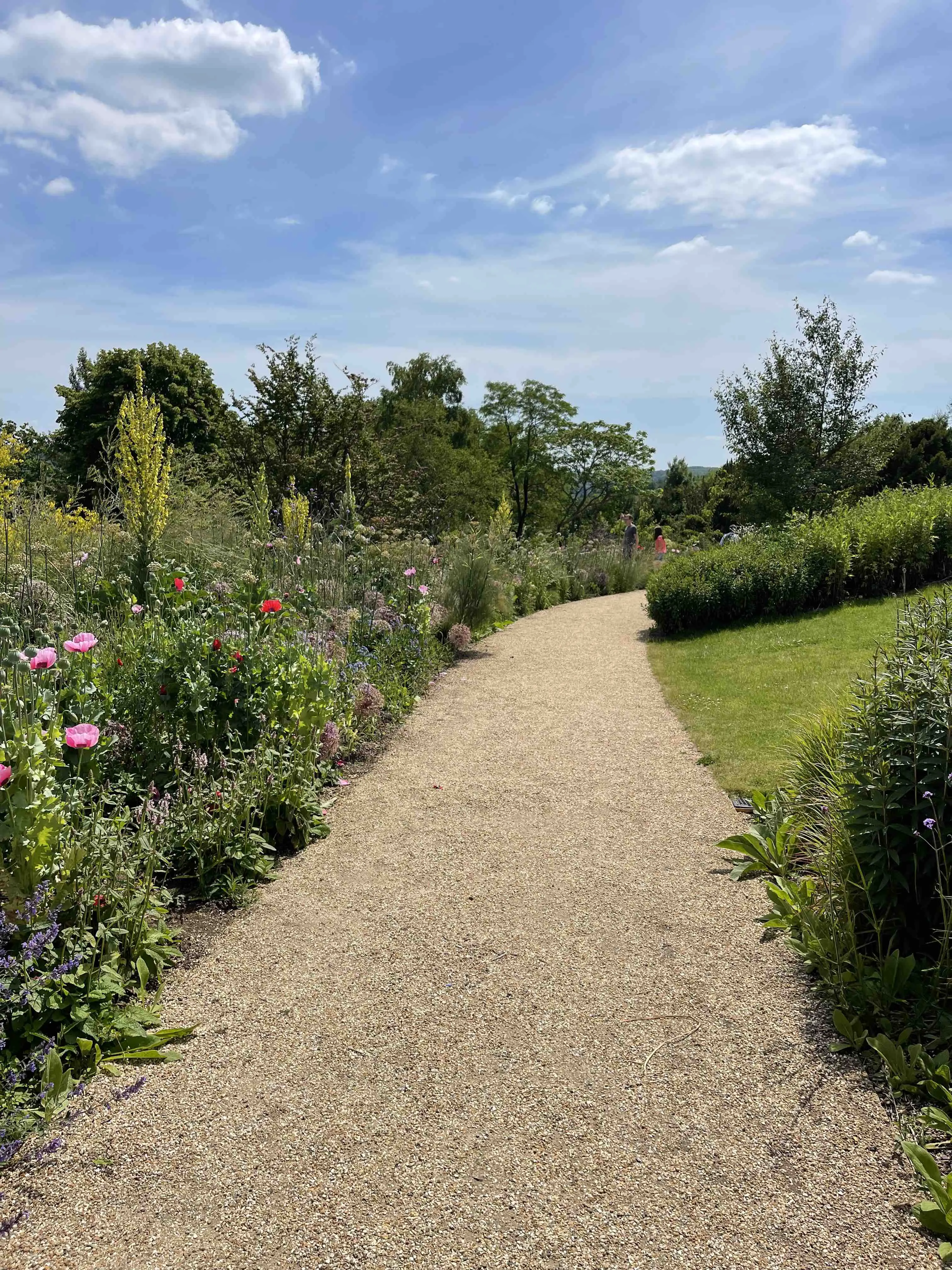 pathway with flowerbeds