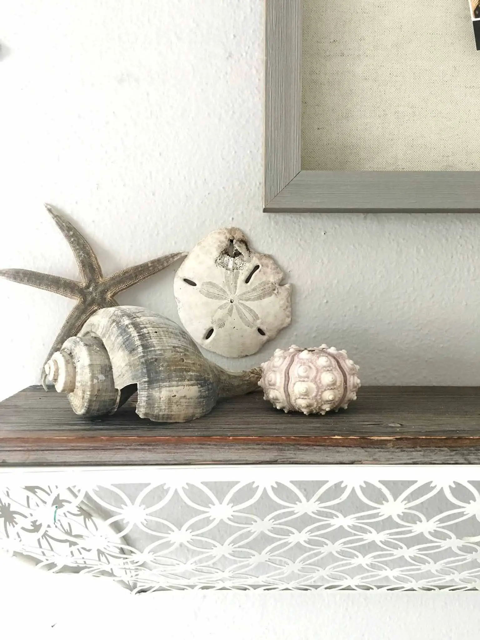 Decorative shelf and shells - modern boho tween bedroom - That Homebird Life Blog