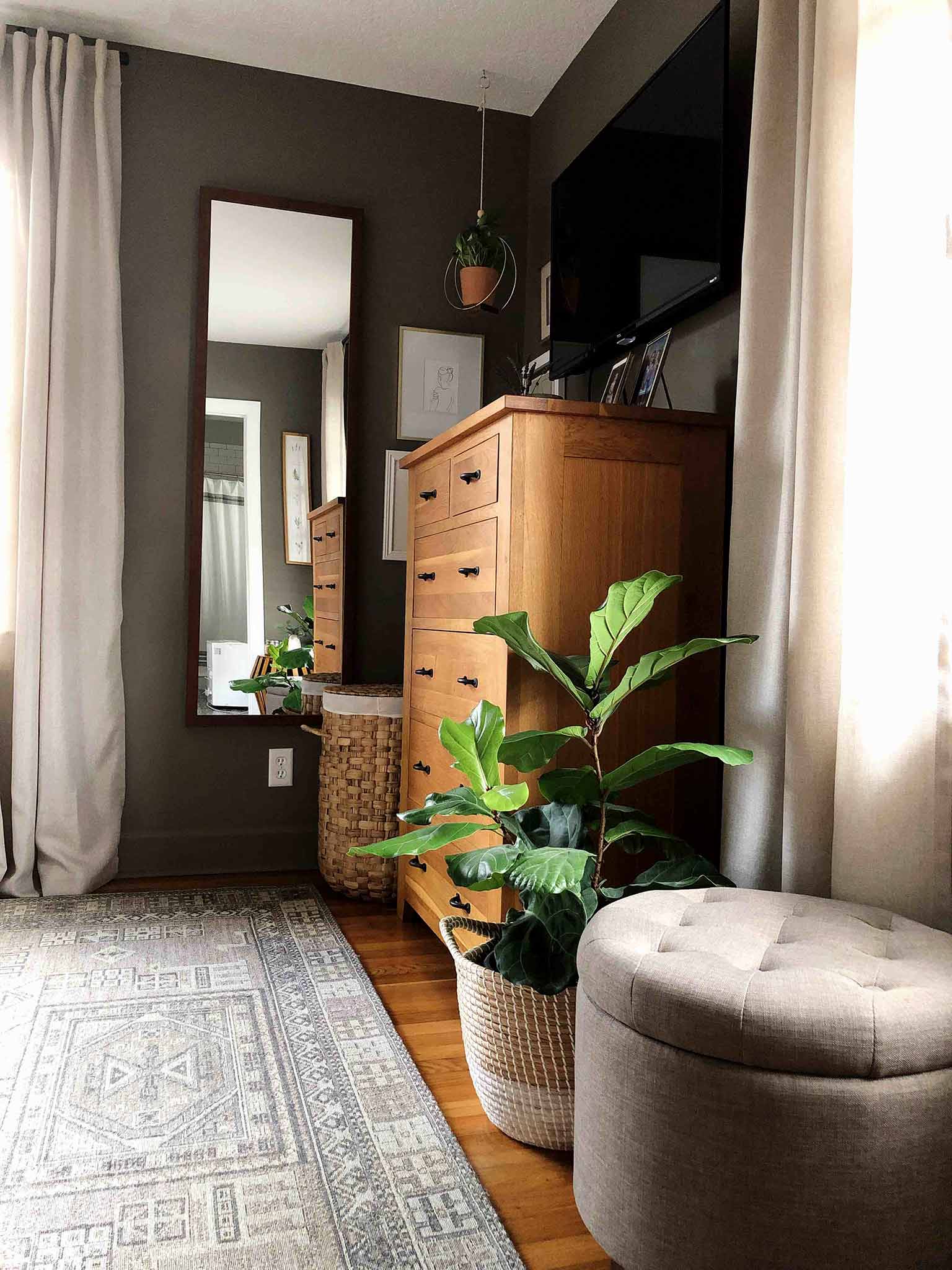 view of master bedroom dresser, mirror and plant