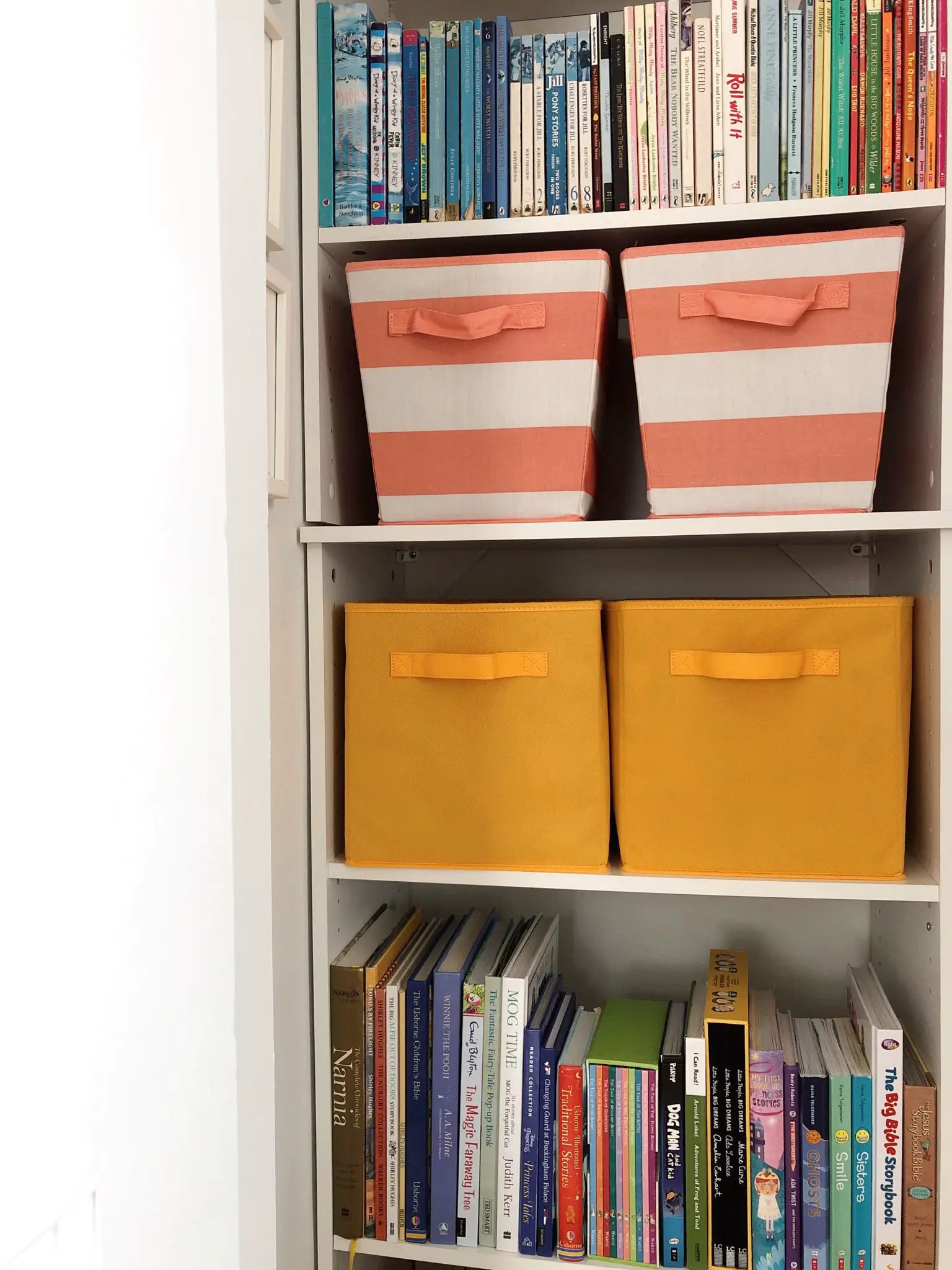 closet with books and bins