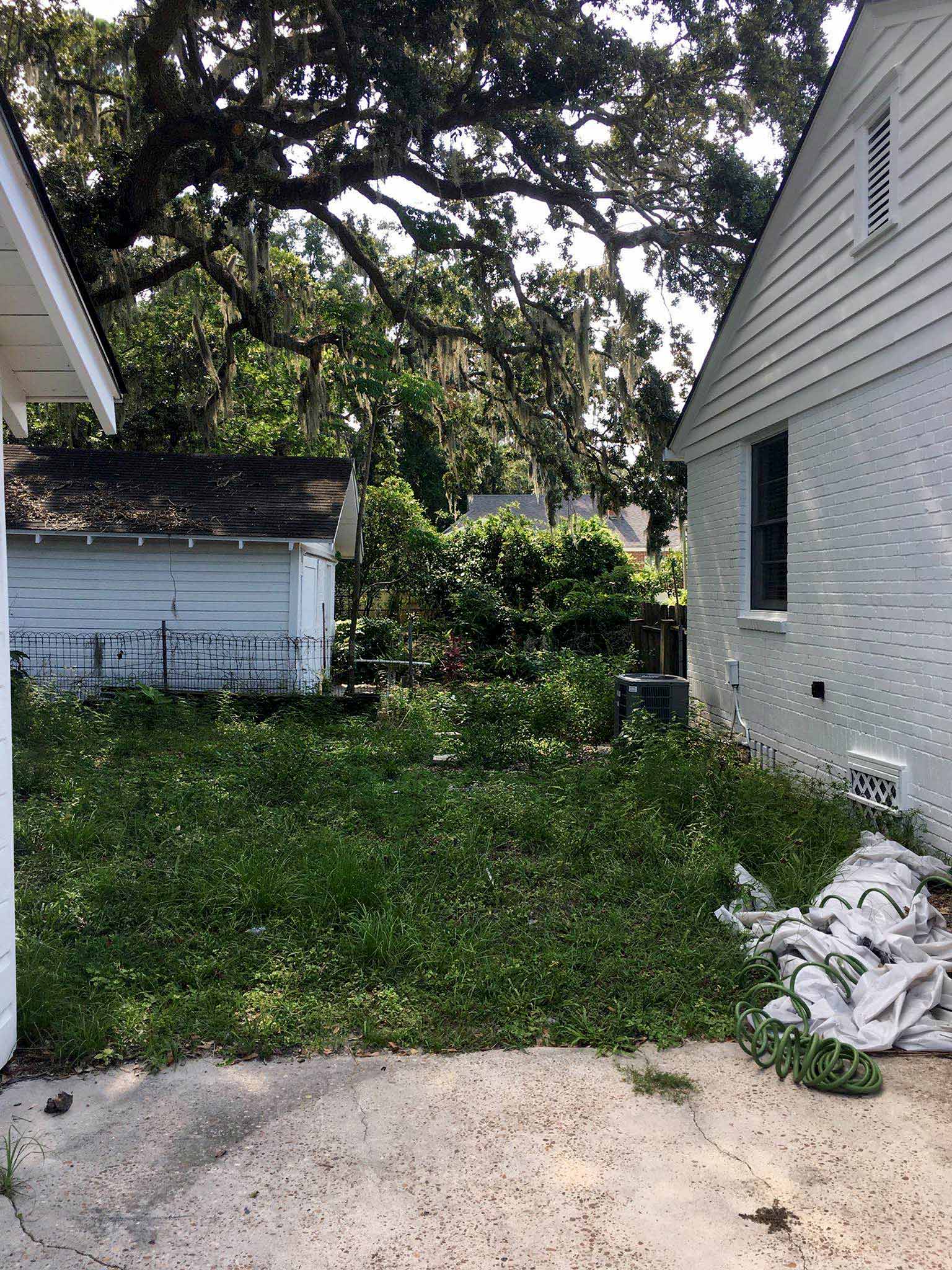 backyard before renovation