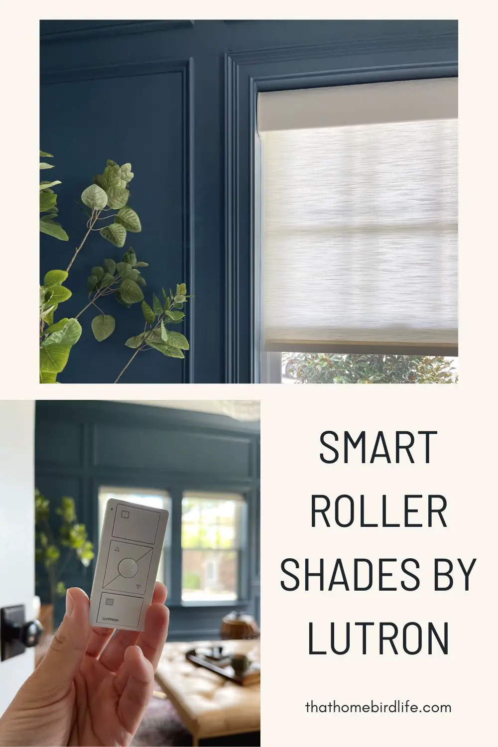 smart roller shades by Lutron