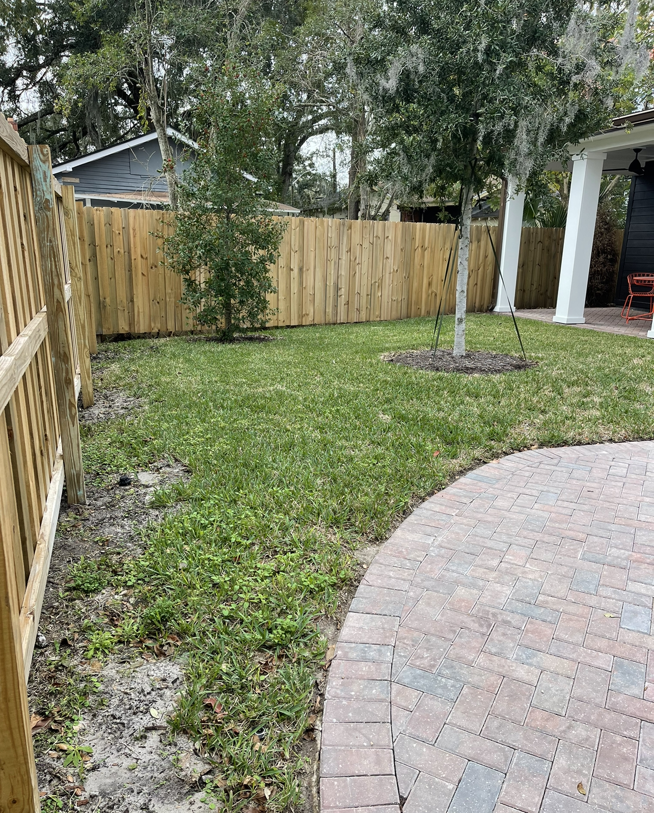 before photo of backyard landscaping