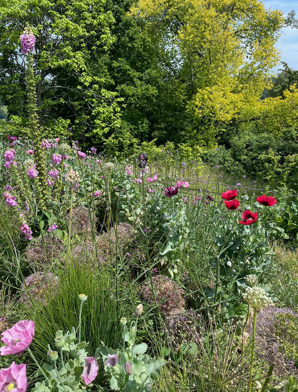 inspiration landscaping photo of flowers