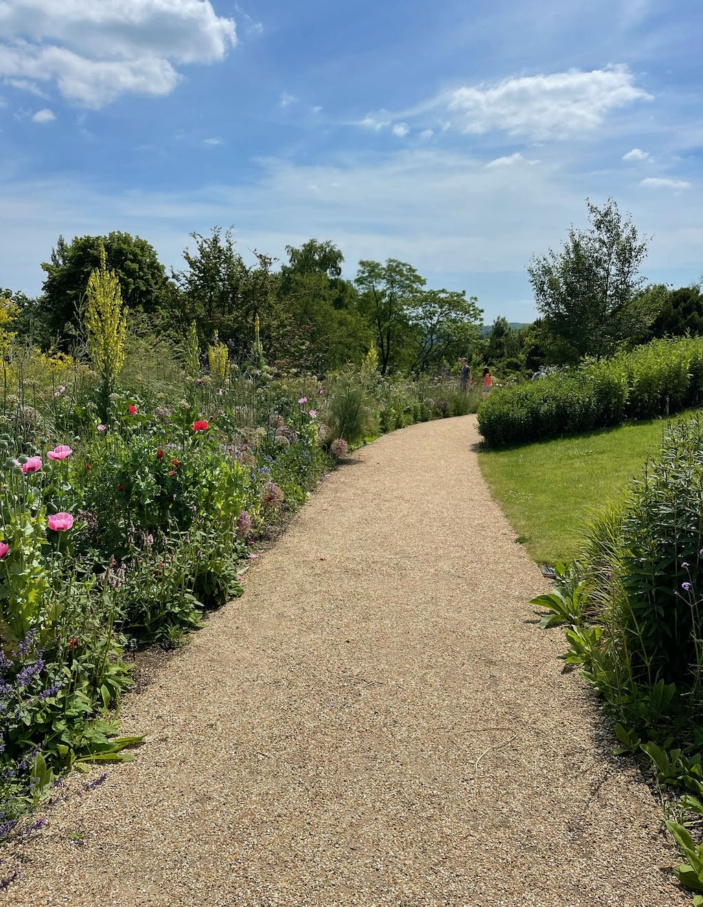 inspiration landscaping photo of flowers